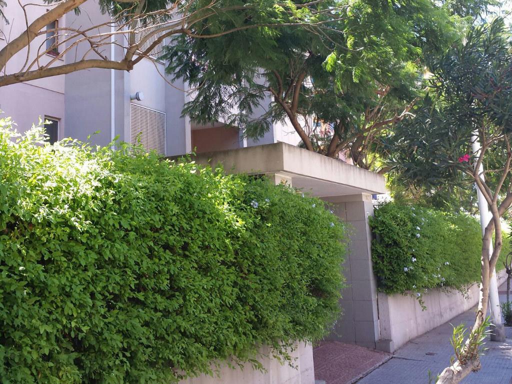 B&B Mareya Каляри Екстериор снимка